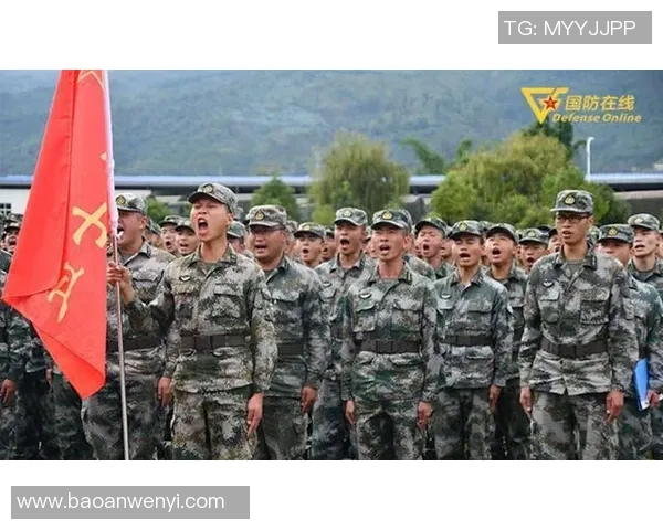 上海篮球队的成长之路：从青涩起步到辉煌成就的纪实故事