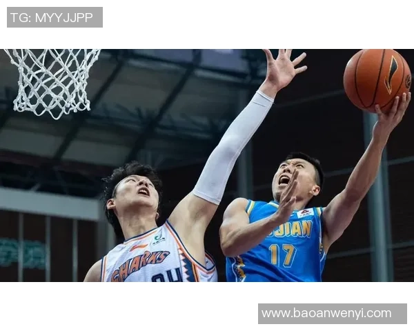 上海羽毛球队以52分稳居精英赛积分榜首位展现强劲实力