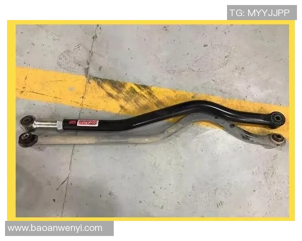 周丽独家分享网球心得与技巧助你提升球技的全面指南